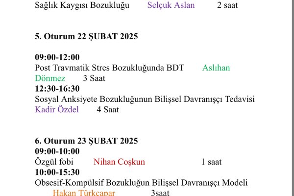 Bilişsel Davranışçı Terapi Modül 1 Programı