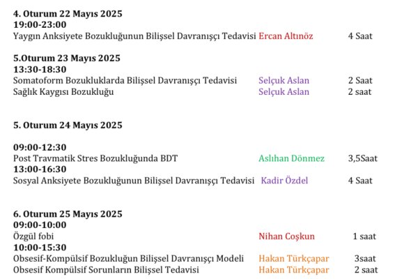 Bilişsel Davranışçı Terapi Modül 1 Programı