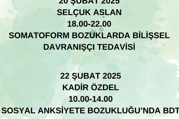 BİLİŞSEL DAVRANIŞÇI TERAPİ TEMEL KURAMSAL PROGRAMI (I. MODÜL)