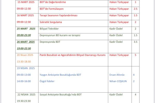 Bilişsel Davranışçı Terapi Modül 1 Programı